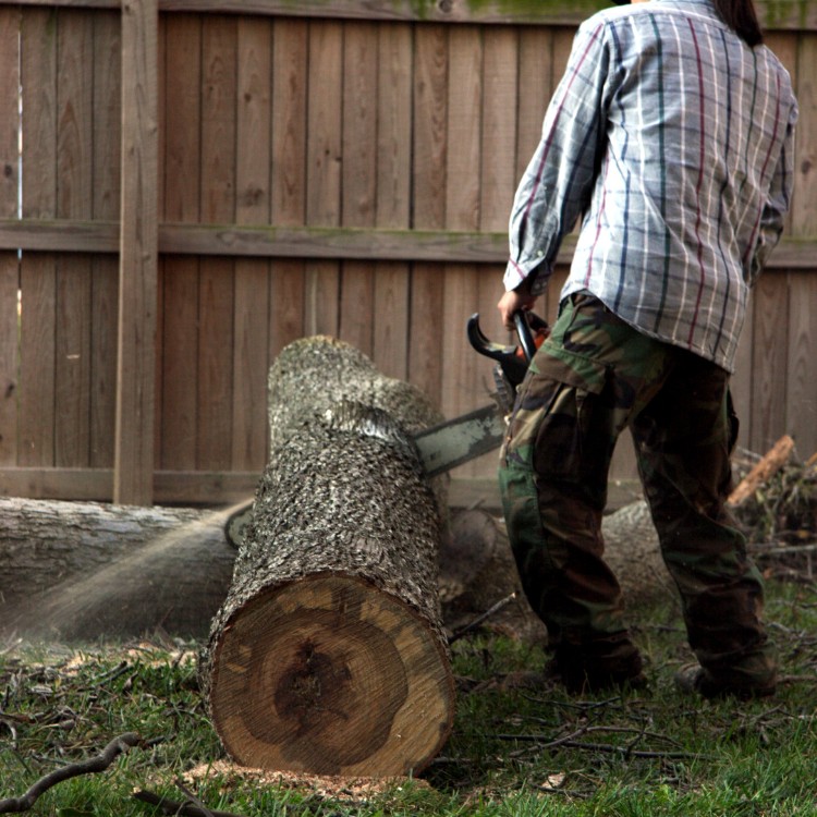 Property solutions services in Farmers Branch, TX