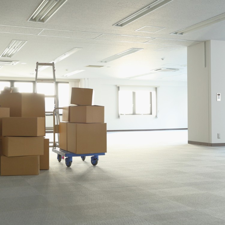 Property solutions services in Farmers Branch, TX