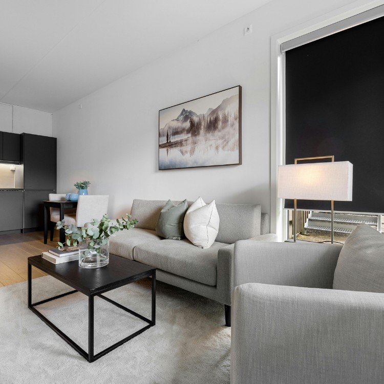 Property solutions services in Farmers Branch, TX